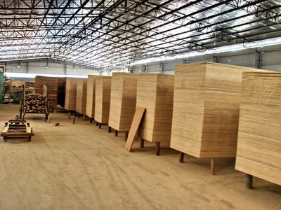 文明風 - 福建永安供電公司助洪田村致富小記 電力賦能木材加工產業(yè)振興