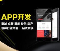 河南App商城定制產(chǎn)品庫(kù)——計(jì)算機(jī)軟件設(shè)計(jì)領(lǐng)域的新生態(tài)探索